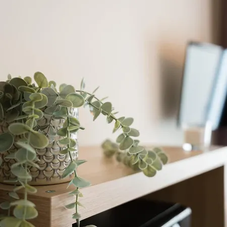 Guestready - Oportogrow Central Batalha 1 Apartament Porto